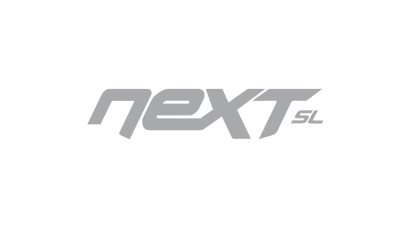 Next Logo